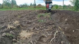 Мотоблок Boxbot MT-600 D Дизель