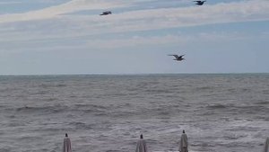 Погода в Сочи. 25-08-2025 г