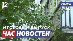 Яблоня загородила свет / Диковинные плоды / Пешеходный Любинский. Новости Омска
