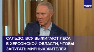 ВСУ выжигают леса в Херсонской области, чтобы запугать мирных жителей