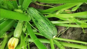 9  Игорь риелтор Москва +79037214827