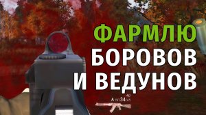 23. Фармлю боровов и ведунов с Benelli. Stay Out | RU2