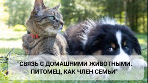 Связь с домашними животными. Питомец, как член семьи (1 часть)