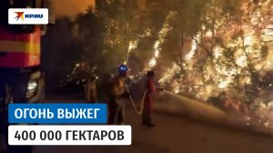 Пожары в Испании уничтожили 403 000 гектаров земли