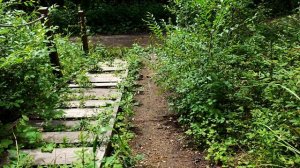 Дальний Восток (Свободный) 8К Xiaomi 14 Ultra