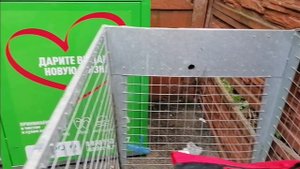 Как я зарабатываю лазая по мусоркам Питера? Dumpster Diving