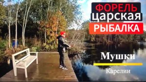 Ловим форель на платнике Царская рыбалка. Тестируем джиг мухи для форели. Рыбалка Октябрь 2024 .