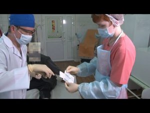 Биополимерные повязки Хитопран