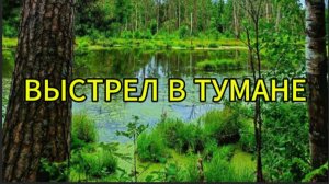 Выстрел в тумане