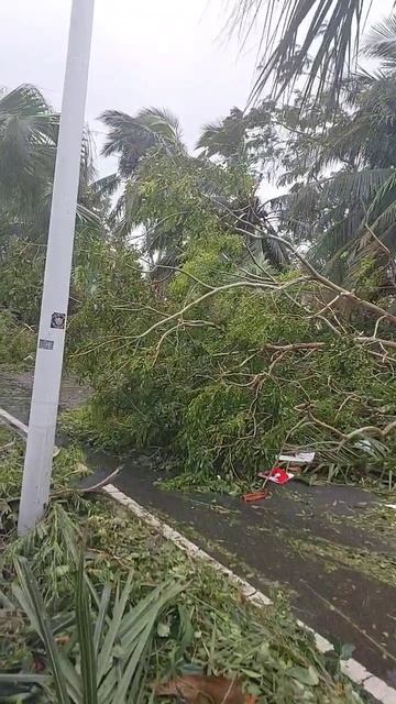 25-08-2025 после тайфуна в Санье