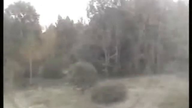 Белорусско-польская граница смотреть онлайн