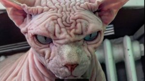 5 фильмов, леденивших мою душу в детстве