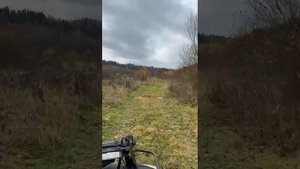 бор участки