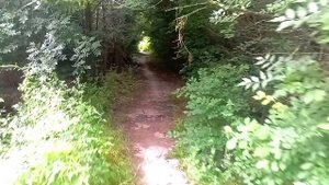 Нашёл забытую тропу к санаторию Архипо - Осиповка.