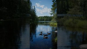 песня Все перемелится