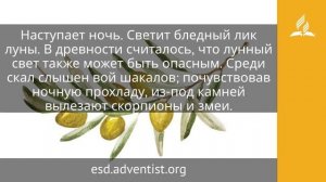25 августа 2025. Господь — хранитель твой. Под сенью благодати. Ссылка на канал под видео