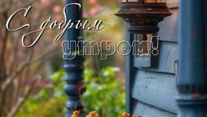Доброе Утро с красивыми открытками и добрыми словами