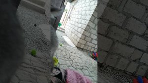 ❤️ ❤️ ❤️