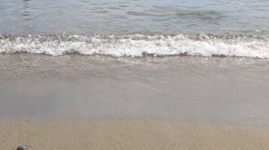 последние летние деньки