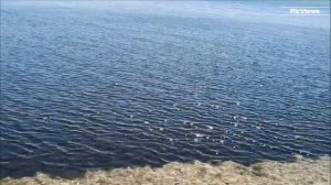 КРЫМ Керчь Городской пляж сегодня 25 августа 2025. Море и погода в Крыму сейчас. Обстановка на пляже