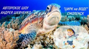 2025 Смоленск октябрь