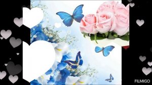 С днём рождения, Рая.