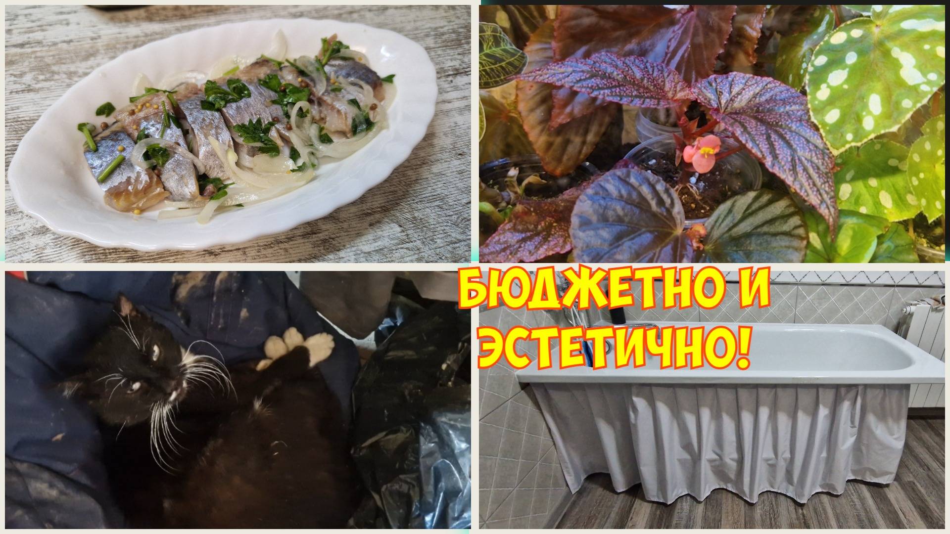 Разделала рыбу и шедевр получился! Чуть жив нашелся. Уют в ванной - экран юбка.