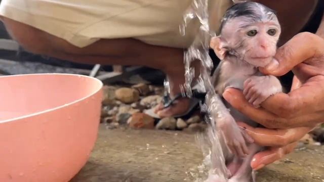 Ванная. смотреть онлайн