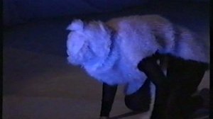 Вспоминаем_Юбилей Маргариты Рыжиковой-35 лет