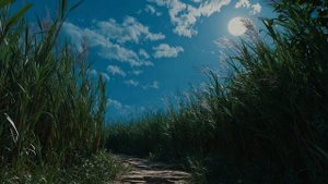 ДжиАлекс - В сумраке дней