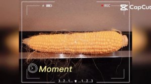 Отварная кукуруза🌽