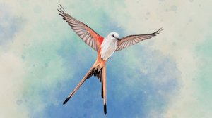 Wingspan - Эксперт по насекомоядным