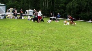 HDV_5772бест ветераныщедроелето