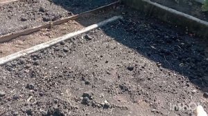 завезли чернозём на дачу...август...