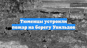 Тюменцы устроили пожар на берегу Увильдов