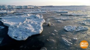 Архипелаг Северная Земля: кто за главного? Доброе утро. Фрагмент выпуска от 25.08.2025