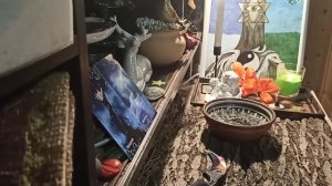 ЧИСТКА ОТ КРАДНИКА.