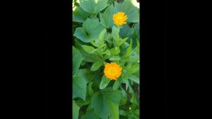 Волгоградский рай