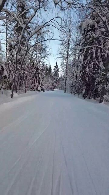 #лыжня #зима #карелия #shorts смотреть онлайн