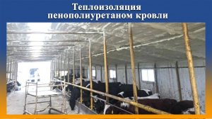 Утепление коровника ППУ на Промус оборудовании.