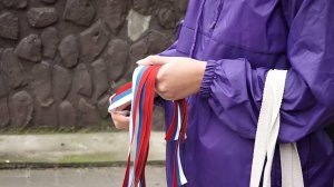 Гордо реет флаг страны