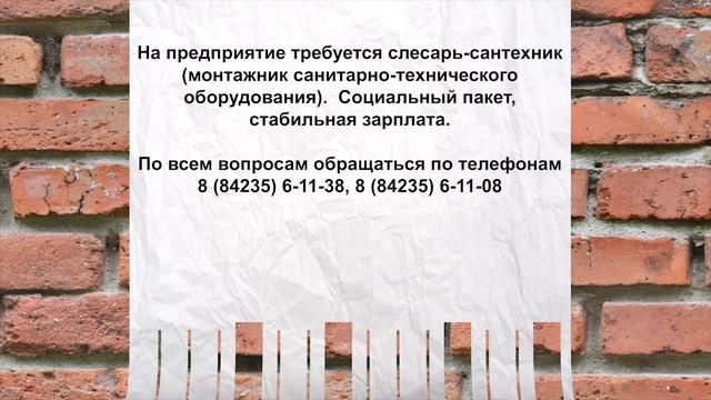 Банк вакансий 25.08.2025 смотреть онлайн