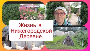 25-08-2025г.Жизнь в Нижегородской деревне.🏡Наводим красоту в огороде 🤗