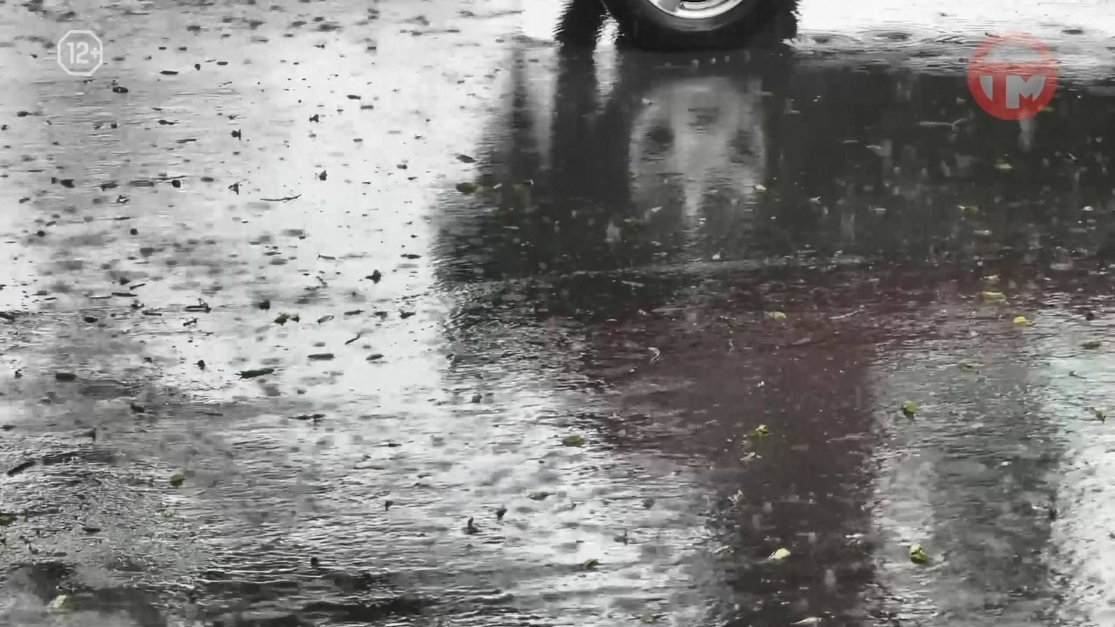 ⛈ На Приморье надвигается циклон, синоптики объявили штормовое предупреждение