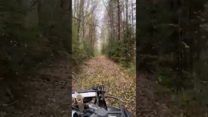 бор участки