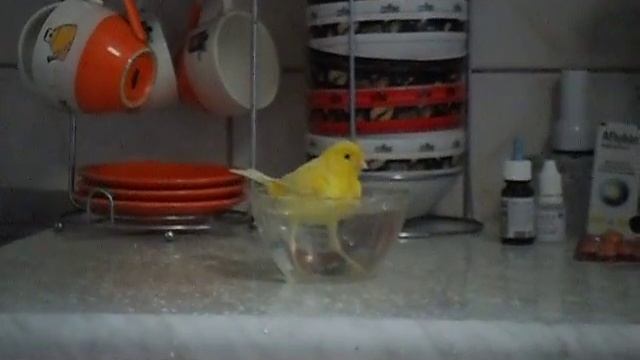 SAM 0087 смотреть онлайн