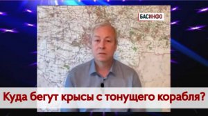 БАСИНФО: Куда бегут крысы с тонущего корабля?