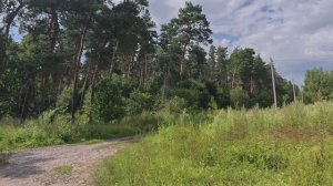 Дорога в Сосновку и обзор с автомобиля