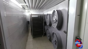 Камера сушки мясных чипсов . Загрузка до 700кг. Агрегат сушки мяса для экономии электричества.