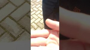 дегустируем еду которая растёт в огороде